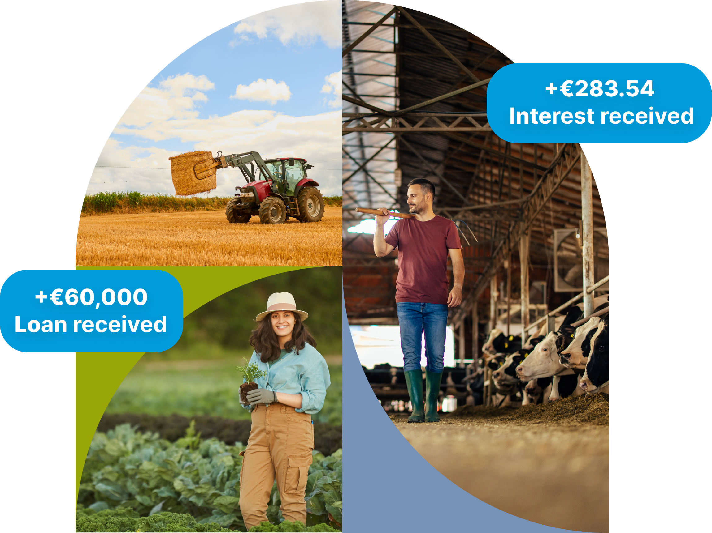 Hero illustration: investors and farm assets